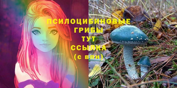 прущая мука Киреевск