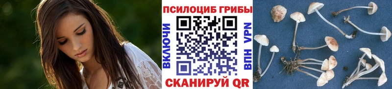 Галлюциногенные грибы MAGIC MUSHROOMS  Купить  Урюпинск 